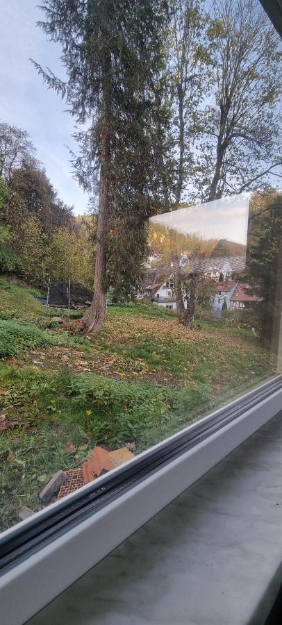 Sm Apartment Triberg im Schwarzwald Exteriör bild